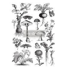 Fungi Forest- Prima Redesign Transfer