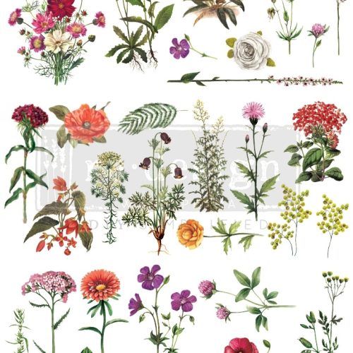Floral Collection - Prima Redesign Transfer