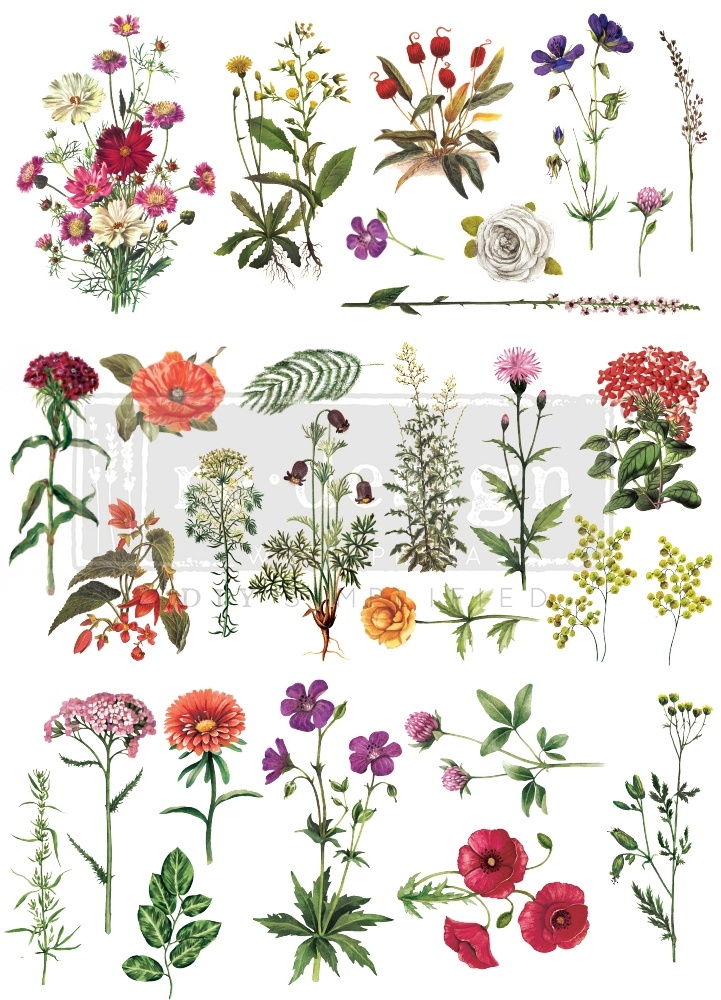Floral Collection - Prima Redesign Transfer