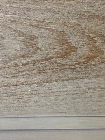 Projects Past Perfect