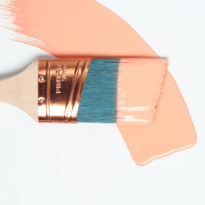 CORAL-2 Coral - Fusion Mineral Paint