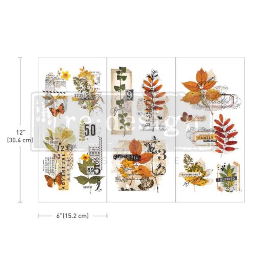 655350655426 foliage collector Foliage Collector - Prima Redesign Transfer