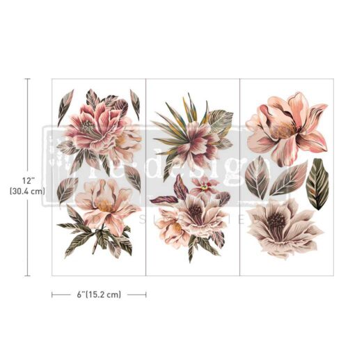 655350657390 exotica Exotica - Prima Redesign Transfer
