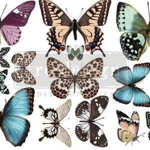 butterfly transfer Butterfly- Prima Redesign Transfer